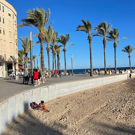 Flat 150m Away From Apartment Torrevieja