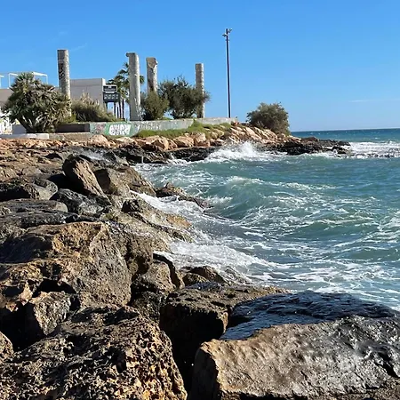 Lejlighed Flat 150m Away From Torrevieja
